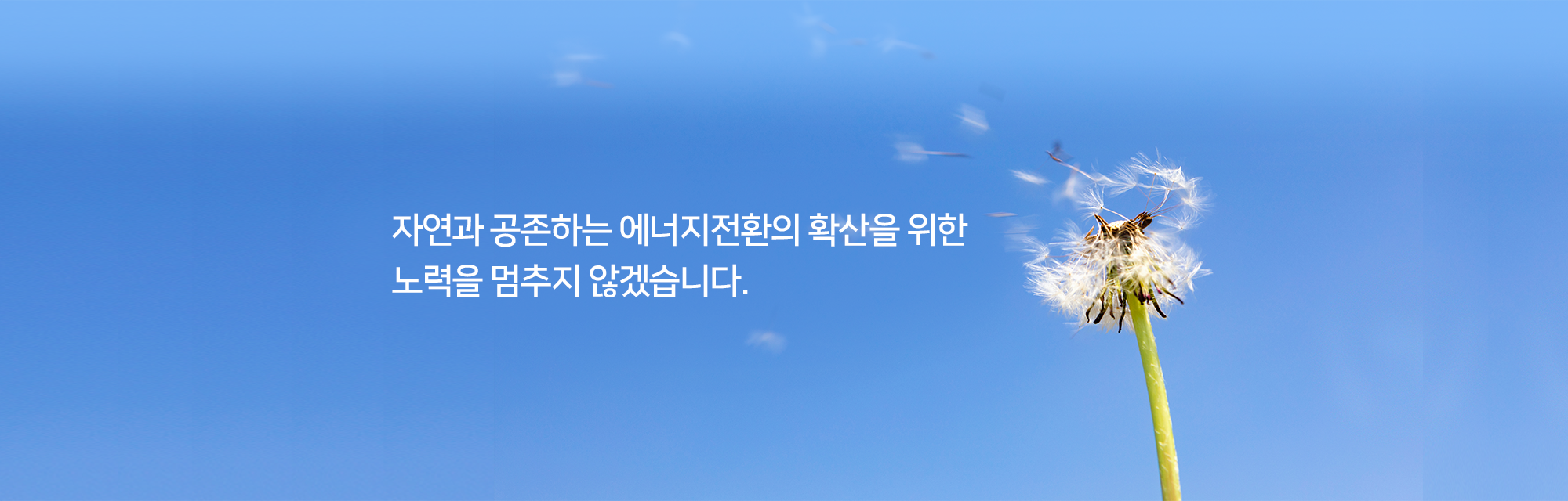 메인비주얼1